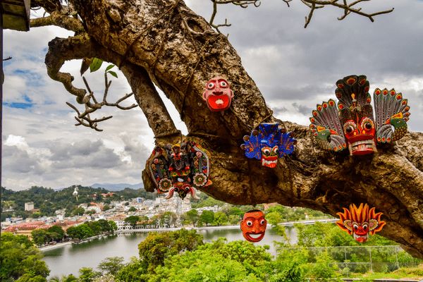 Circuit L'essentiel du Sri Lanka et plage de Beruwela pas cher photo 7