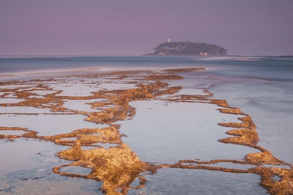 Circuit L'essentiel du Sri Lanka et plage de Beruwela pas cher photo 13