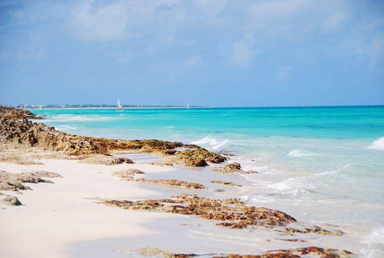 Combiné Trilogie Cubaine avec extension balnéaire Hôtel Paradisus Cayo Santa Maria 5* pas cher photo 16