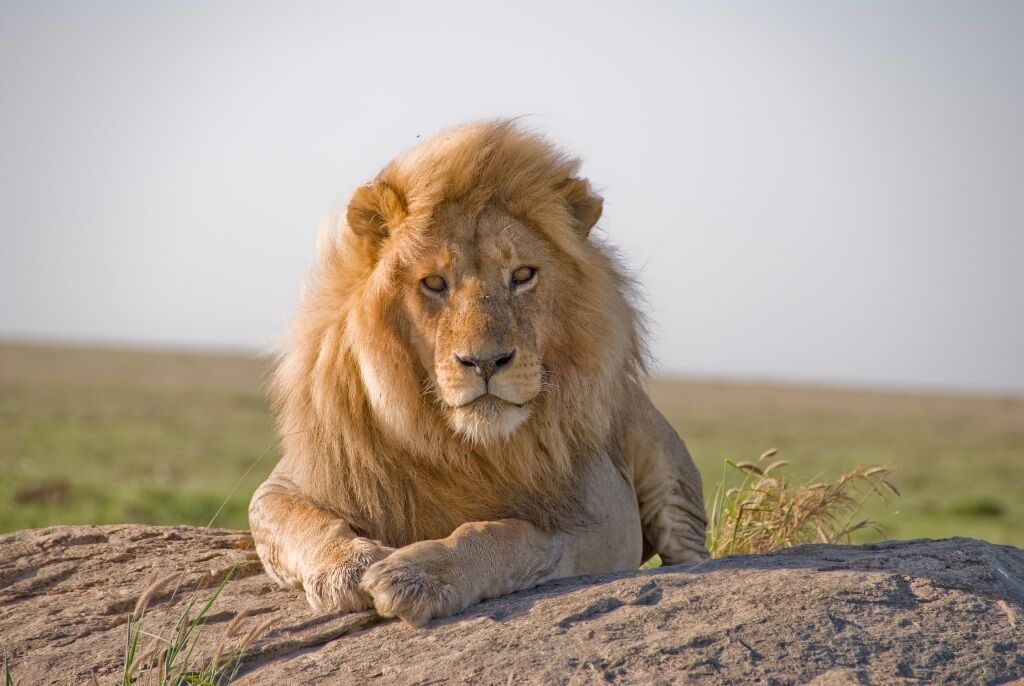 Grand Tour d'Afrique du Sud - 18J/15N - Départ le 31/10/26*OFFRE SPÉCIALE* pas cher photo 10