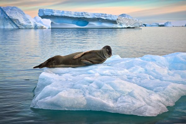 Circuit Tango, Pampa et Terre de Feu pas cher photo 15