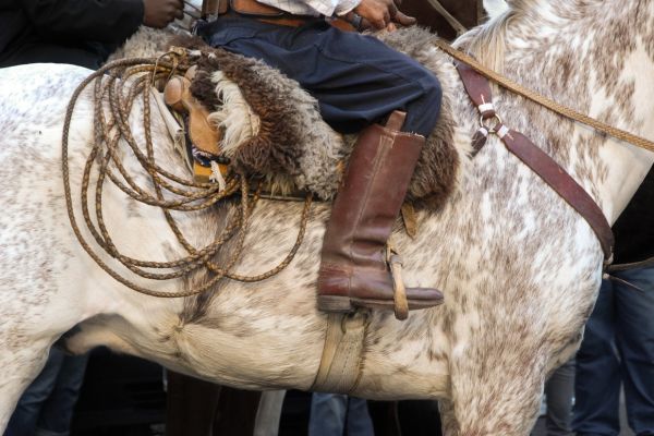 Circuit Tango, Pampa et Terre de Feu pas cher photo 23