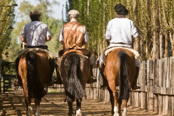 Circuit Grand Tour Argentin, Terre de Feu, les Andes et Iguazu 2*Nouveauté 2026 2* pas cher photo 22