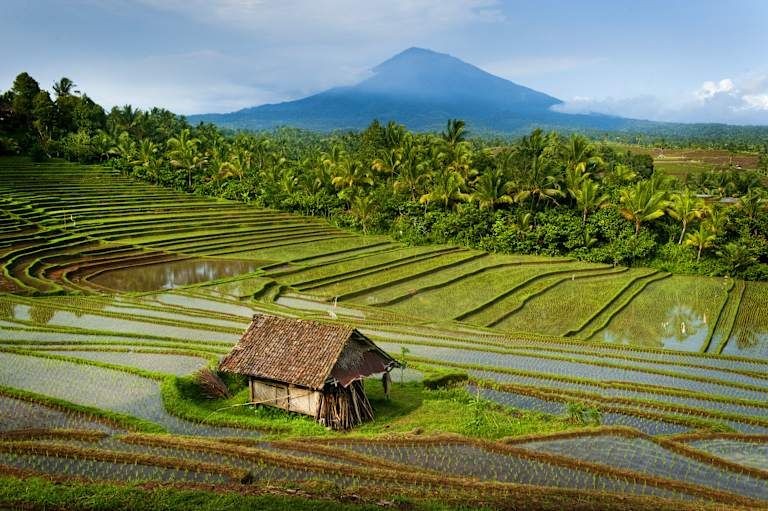 Circuit Immersion à Bali : entre plages et rizières 3*-4* pas cher photo 7