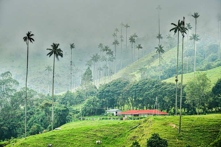 Colombie & Panama : Deux Joyaux en un Voyage - 3* pas cher photo 5
