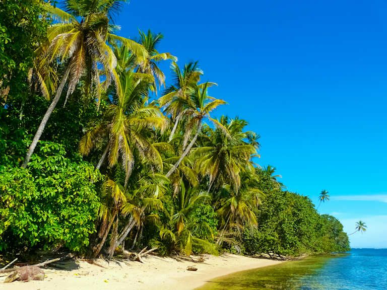Circuit Joyaux de la Forêt Tropicale 3*-4*-5* pas cher