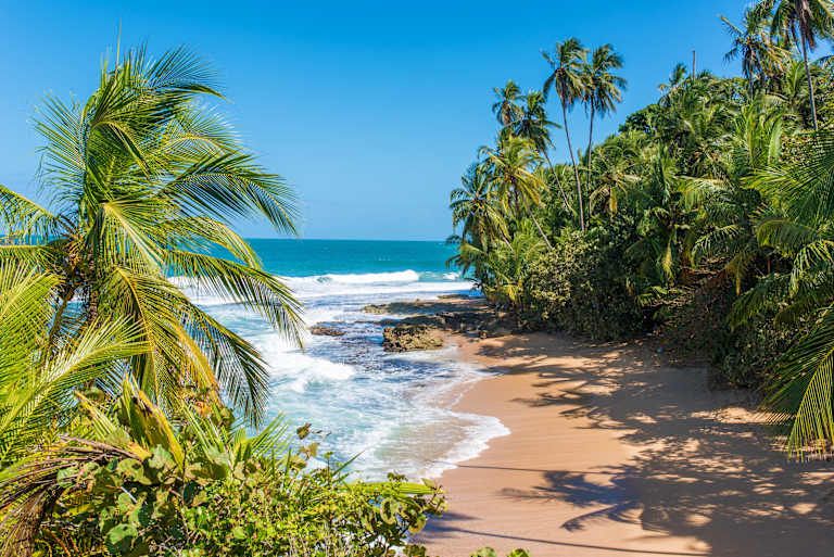 Autotour Au Coeur de la Nature : Jungle, Plages et Volcans 3* pas cher photo 5