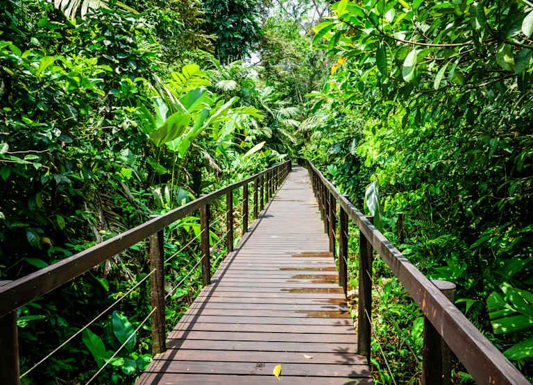 Autotour Au Coeur de la Nature : Jungle, Plages et Volcans 3* pas cher photo 6