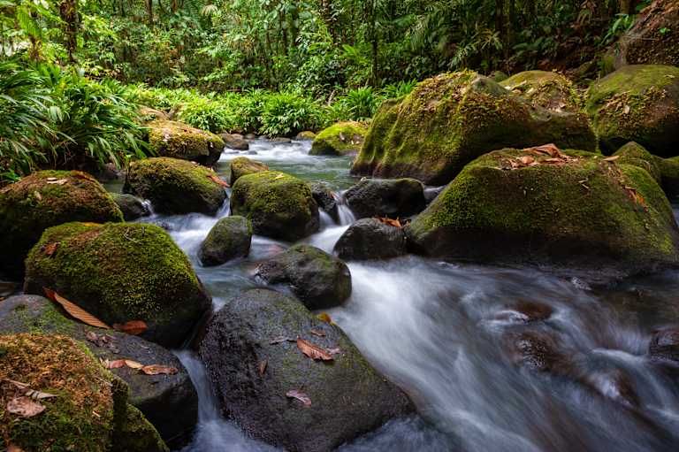 Autotour Au Coeur de la Nature : Jungle, Plages et Volcans 3* pas cher photo 8