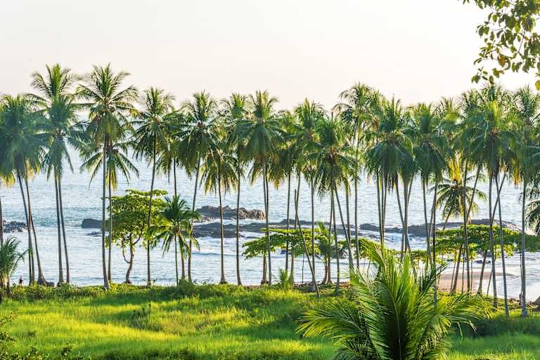 Autotour Au Coeur de la Nature : Jungle, Plages et Volcans 3* pas cher photo 11
