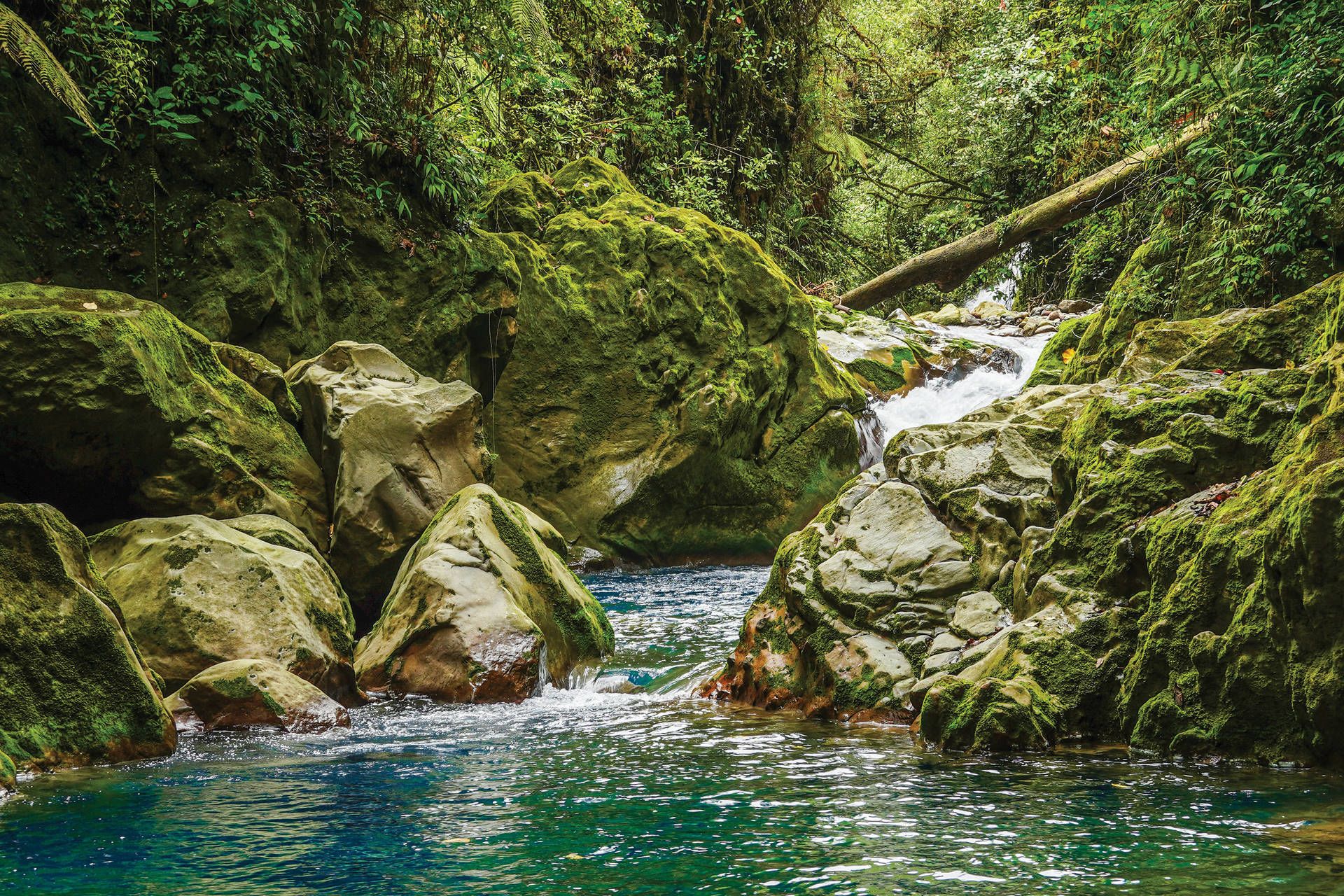 Circuit Costa Rica authentique : trek entre forêts et volcans pas cher photo 8