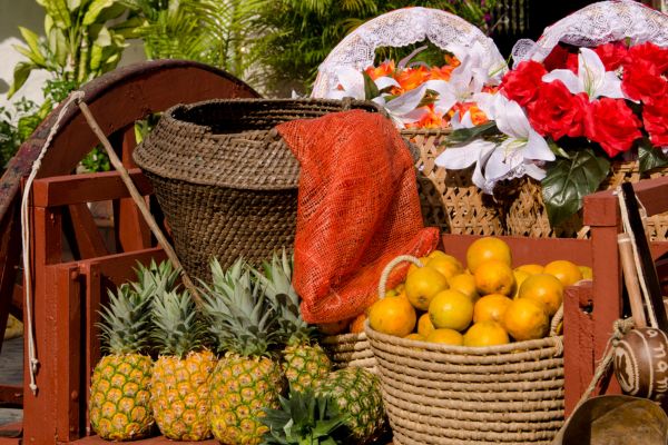 Circuit Dans le Sillage des Corsaires au Panama pas cher photo 2