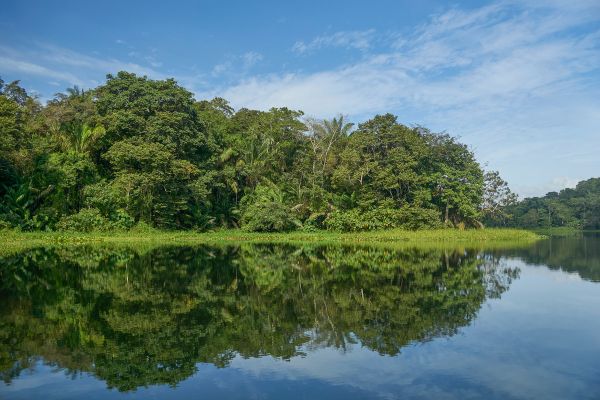 Circuit Dans le Sillage des Corsaires : De Panama à Bocas del Toro pas cher photo 31
