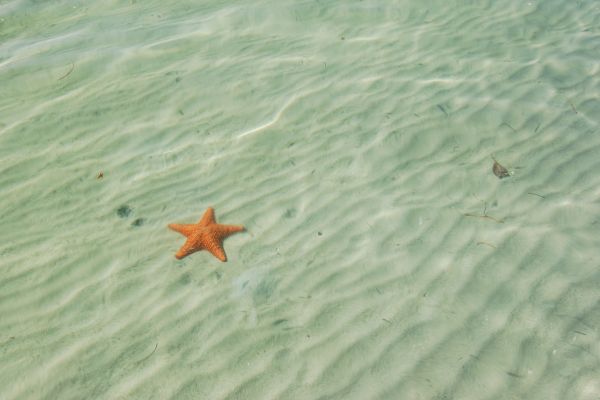Circuit Dans le Sillage des Corsaires : De Panama à Bocas del Toro pas cher photo 38