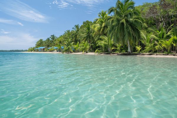 Circuit Dans le Sillage des Corsaires : De Panama à Bocas del Toro pas cher photo 44