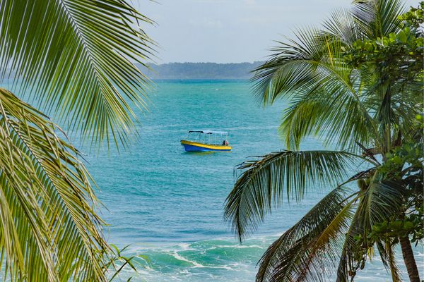 Circuit Dans le Sillage des Corsaires : De Panama à Bocas del Toro pas cher photo 45