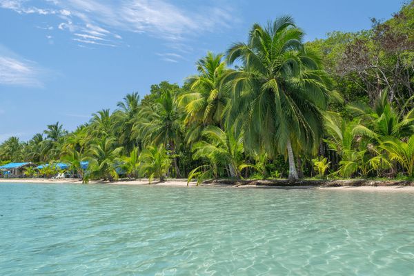 Circuit Dans le Sillage des Corsaires : De Panama à Bocas del Toro pas cher photo 47