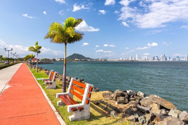 Circuit Panama, Couleur Café pas cher photo 4