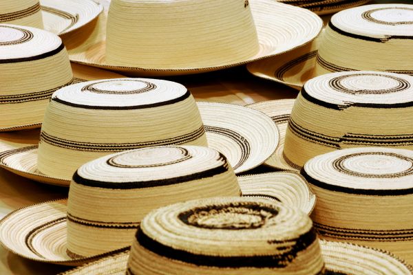 Circuit Panama, Couleur Café pas cher photo 19