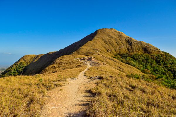 Circuit Panama, Couleur Café pas cher photo 25