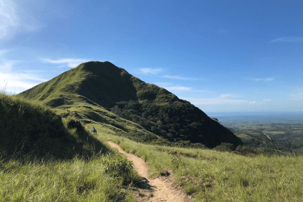 Circuit Panama, Couleur Café pas cher photo 27