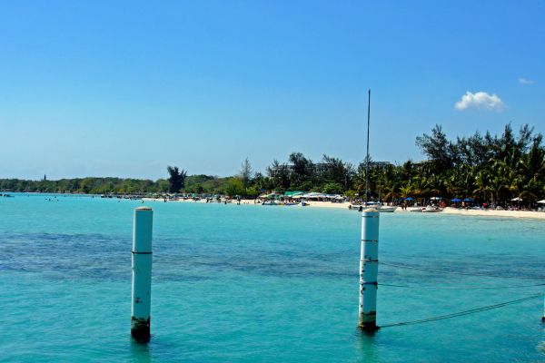 Circuit Panama, Couleur Café pas cher photo 29