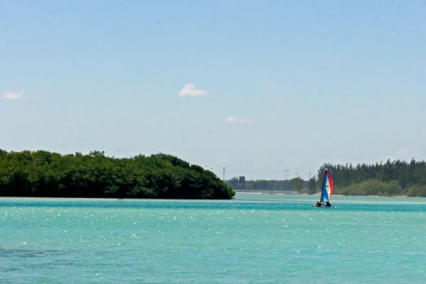 Circuit Panama, Couleur Café pas cher photo 30