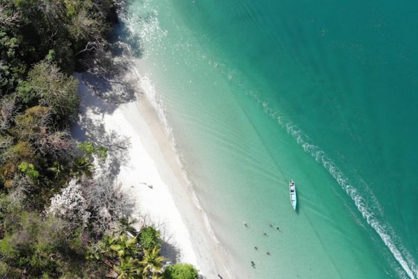 Circuit Panama, Couleur Café pas cher photo 31