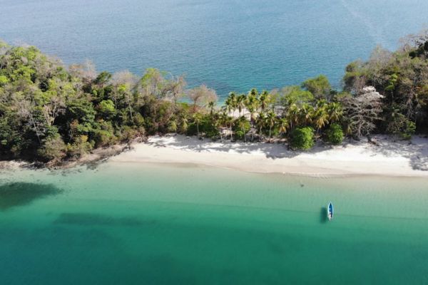 Circuit Panama, Couleur Café pas cher photo 34