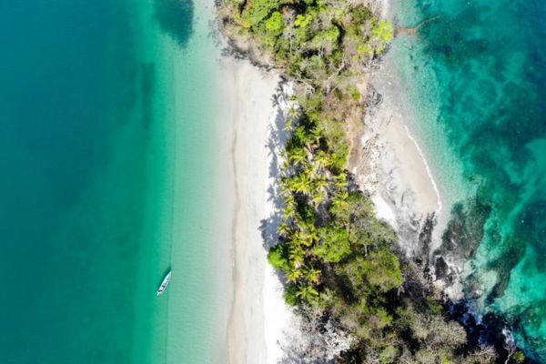 Circuit Panama, Couleur Café pas cher photo 35