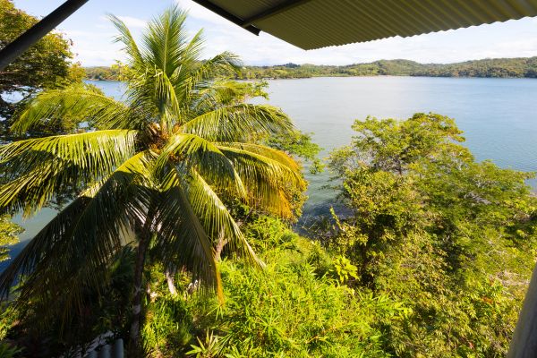 Circuit Panama, Couleur Café pas cher photo 36