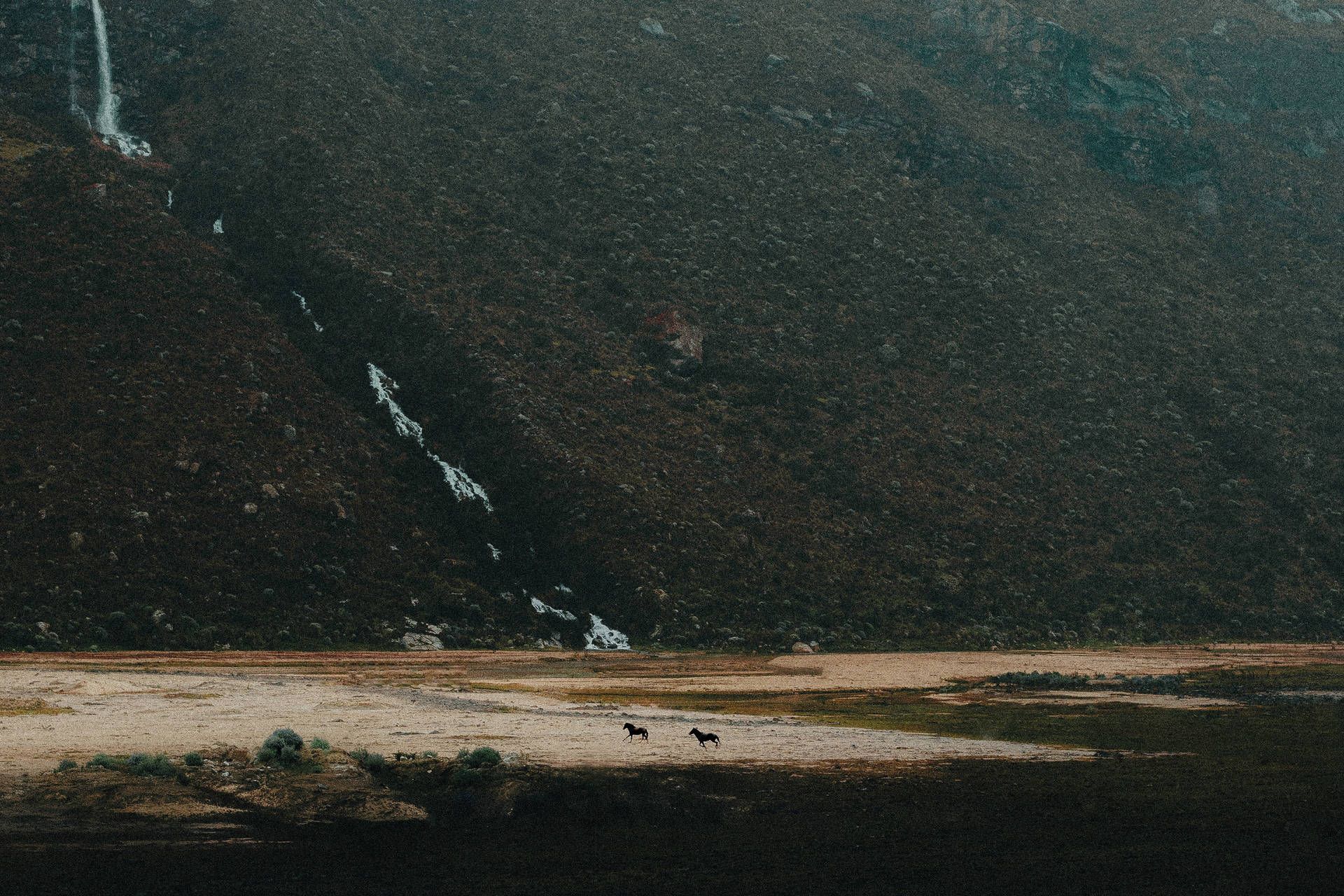 Circuit Sur la trace des Incas : de la Vallée Sacrée aux rivages de Paracas pas cher photo 3