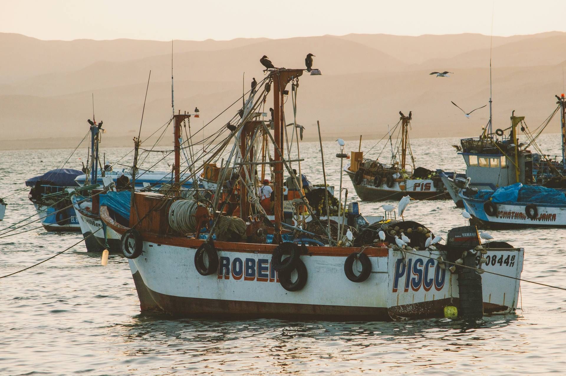 Circuit Sur la trace des Incas : de la Vallée Sacrée aux rivages de Paracas pas cher photo 10