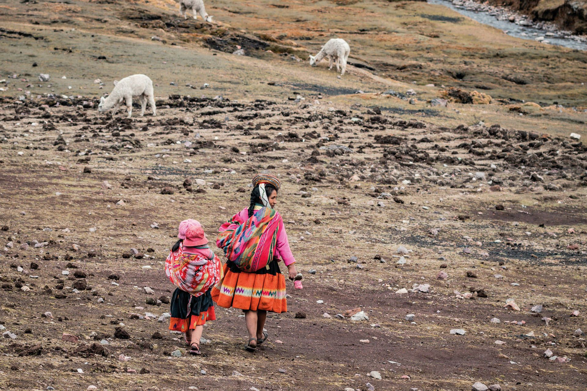 Circuit Sur la trace des Incas : de la Vallée Sacrée aux rivages de Paracas pas cher photo 12