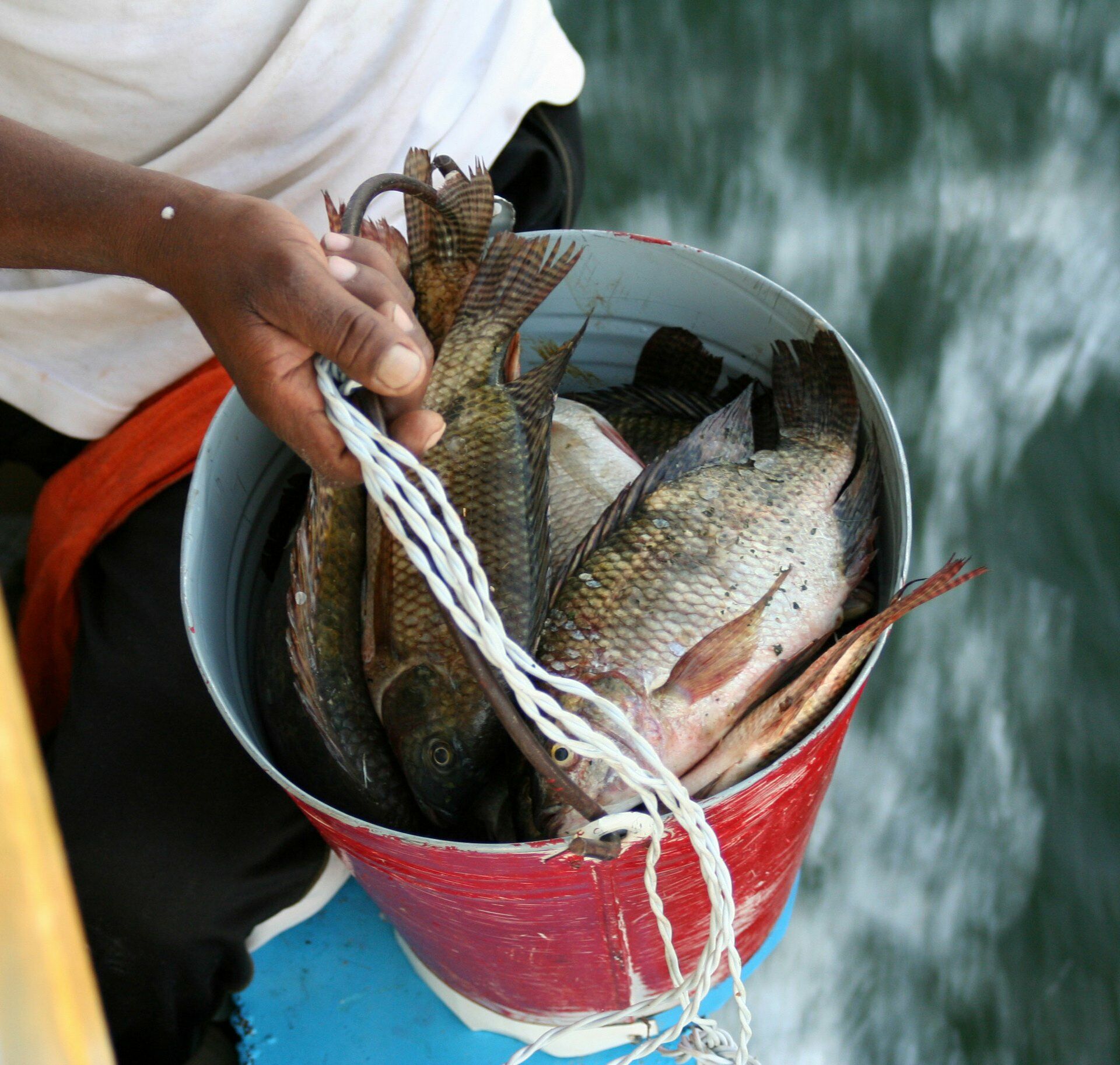 SPLENDEURS DU NIL ET DU LAC NASSER en 5* (NL) - 11J/10N - 2026 pas cher photo 7