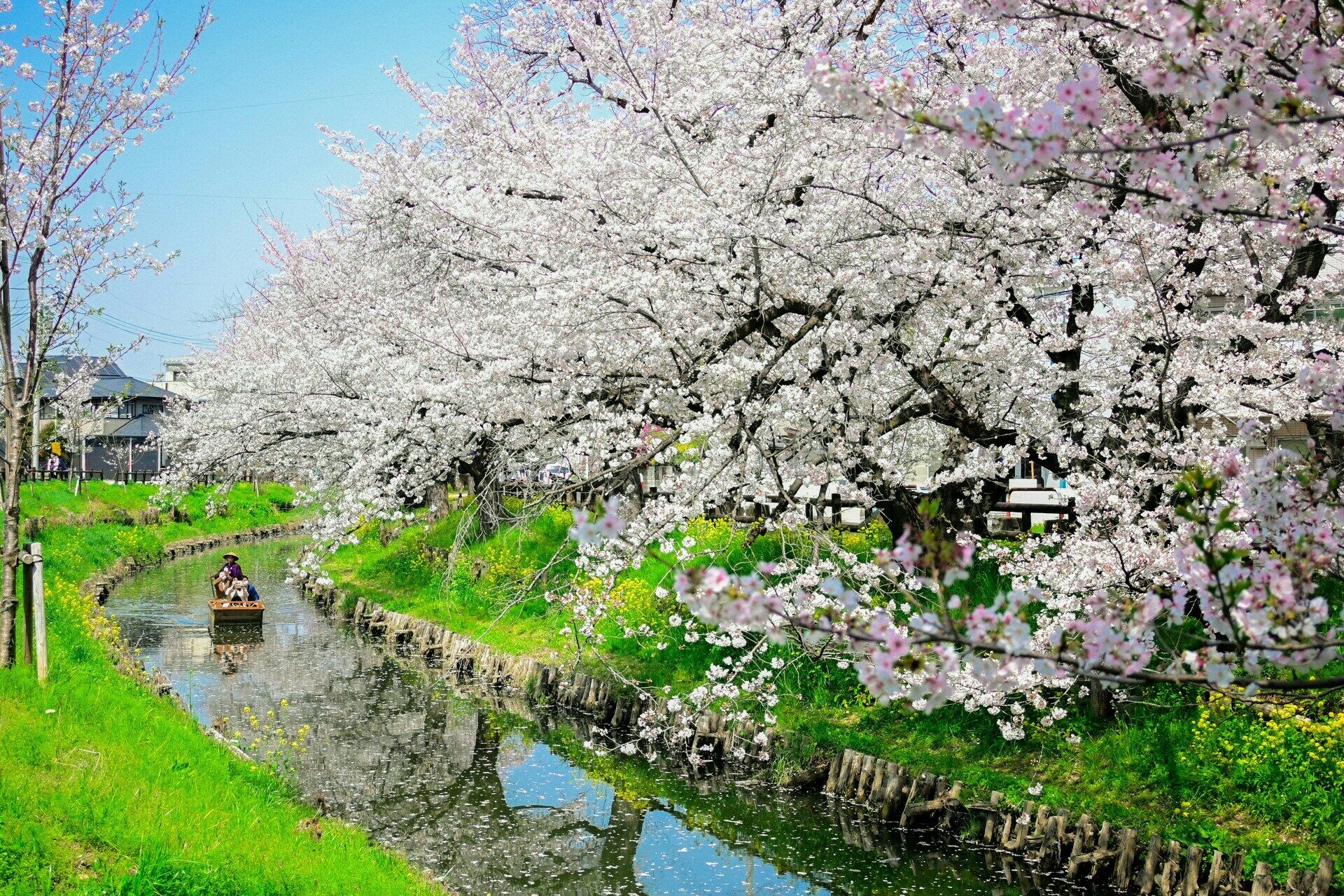 Circuit individuel Arts et Traditions du Japon 3* ou 4* pas cher photo 9