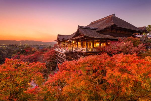 Circuit Voyage en liberté, le Japon incontournable 3* pas cher photo 13