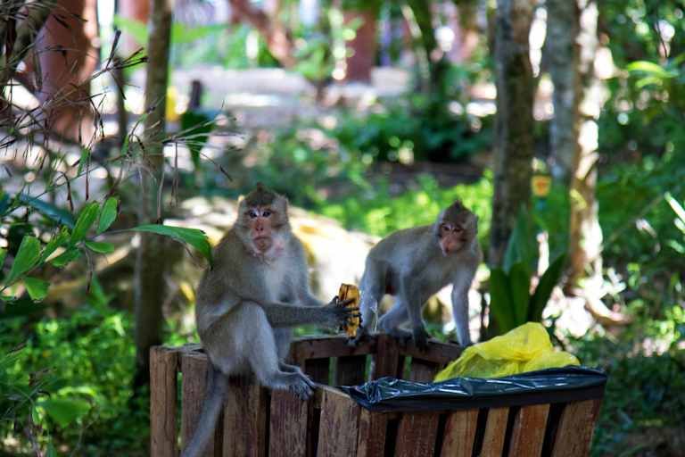 Évasion au Vietnam et Cambodge et extension à Koh Rong - 4* pas cher photo 26