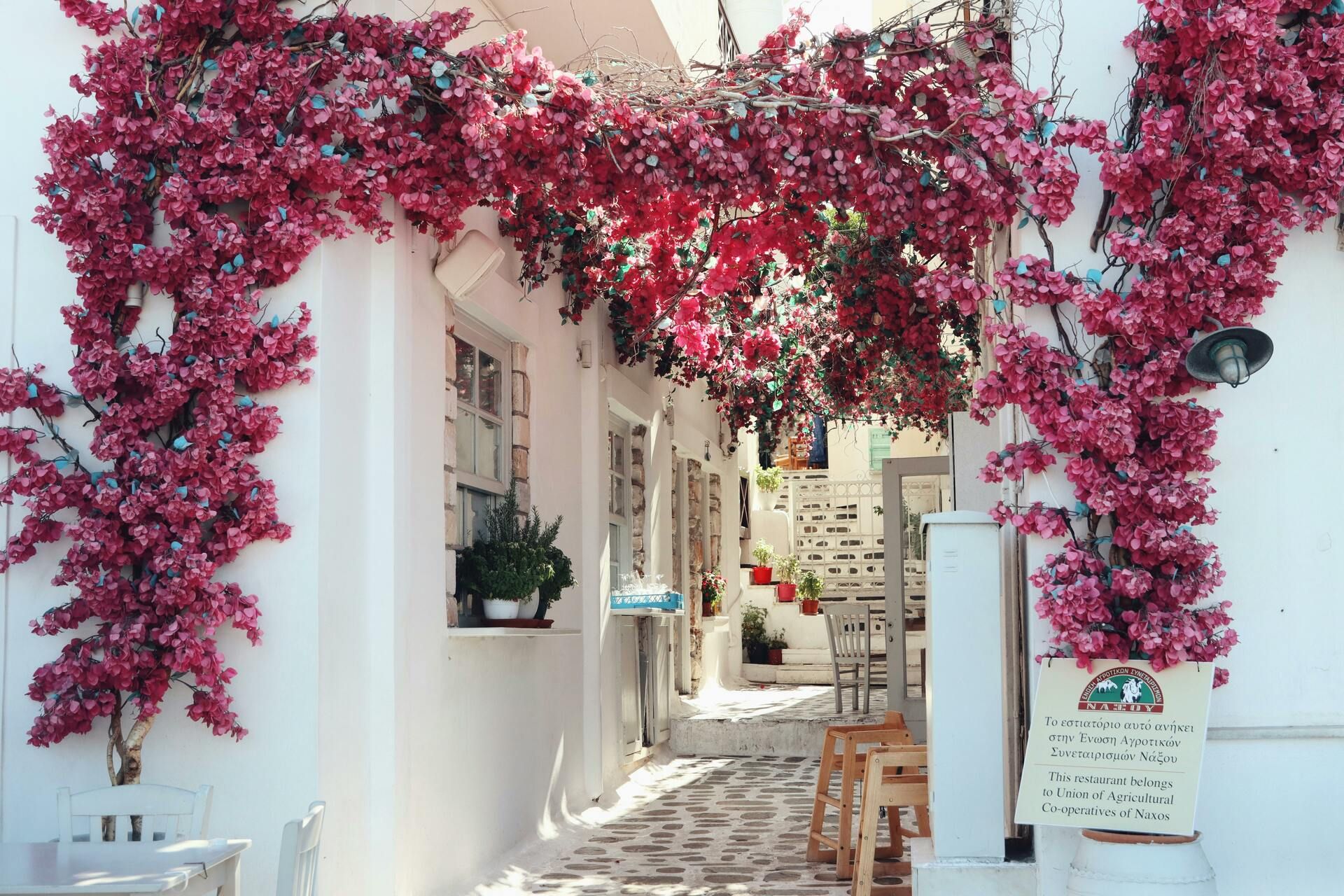 Combiné Cyclades 3 îles Santorin, Naxos, Syros 3* ou 4* pas cher photo 9
