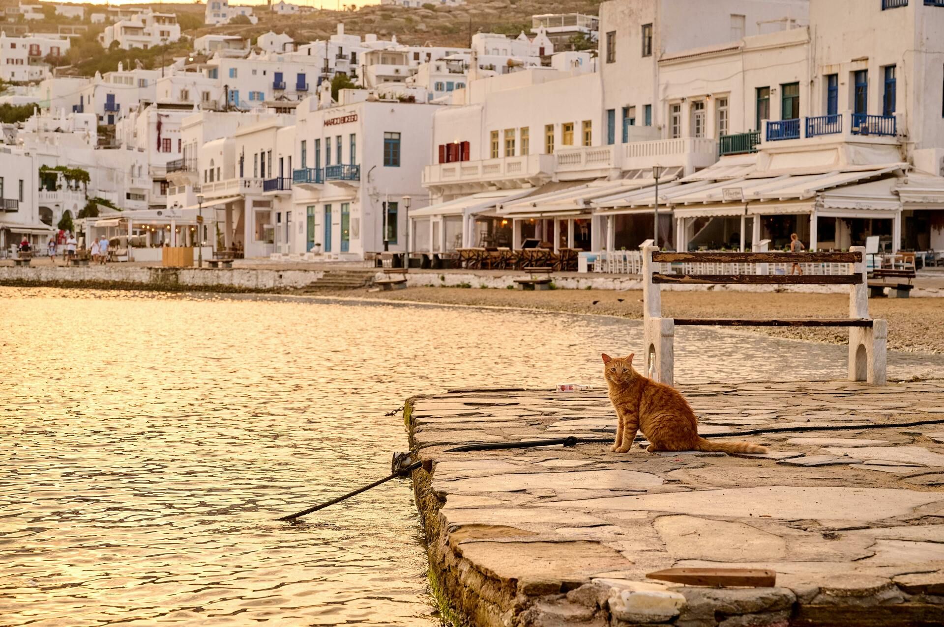 Combiné Athènes et 2 îles Paros et Mykonos 2*-3* ou 4* pas cher photo 8