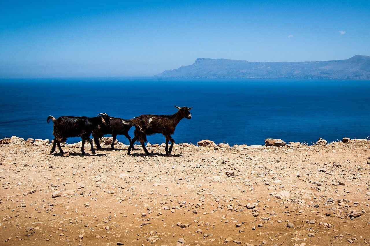 Combiné Cyclades quatre îles Santorin, Naxos, Syros et Mykonos 3* ou 4* pas cher photo 8