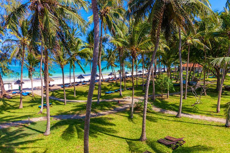 Circuit Du Majestueux Kilimandjaro jusqu'aux rives de Diani Beach 3*-4* pas cher photo 4