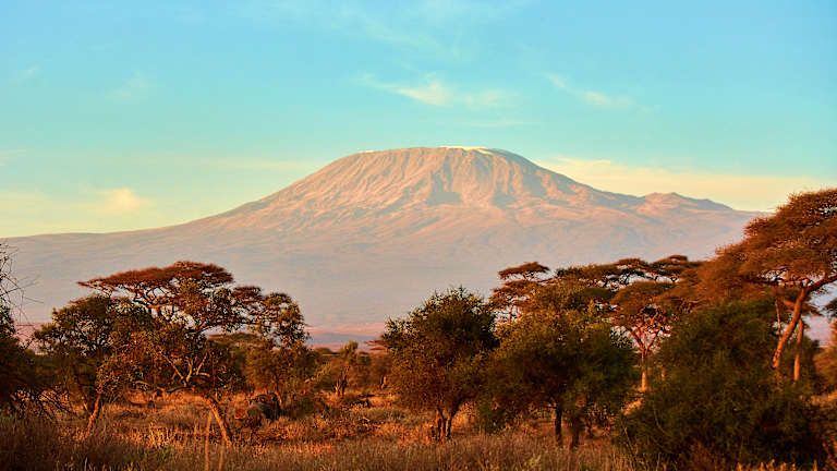 Circuit Du Majestueux Kilimandjaro jusqu'aux rives de Diani Beach 3*-4* pas cher photo 11
