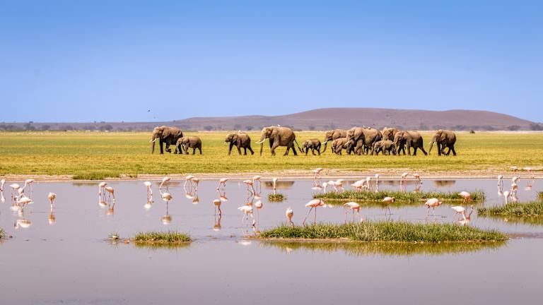 Circuit Du Majestueux Kilimandjaro jusqu'aux rives de Diani Beach 3*-4* pas cher photo 14