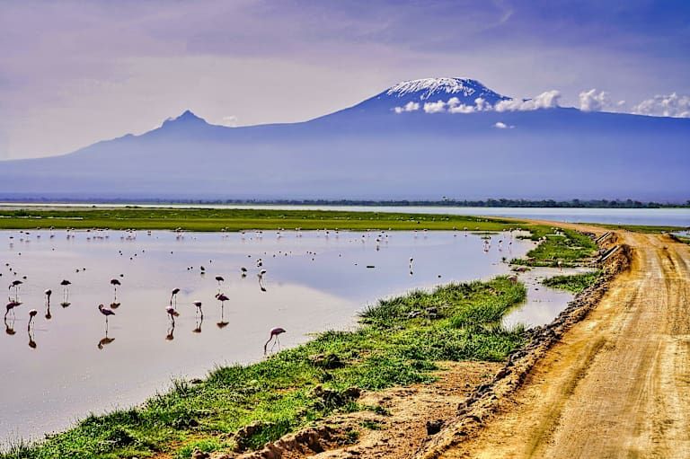 Circuit Du Majestueux Kilimandjaro jusqu'aux rives de Diani Beach 3*-4* pas cher photo 15