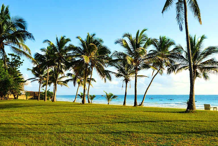 Circuit Du Majestueux Kilimandjaro jusqu'aux rives de Diani Beach 3*-4* pas cher photo 17
