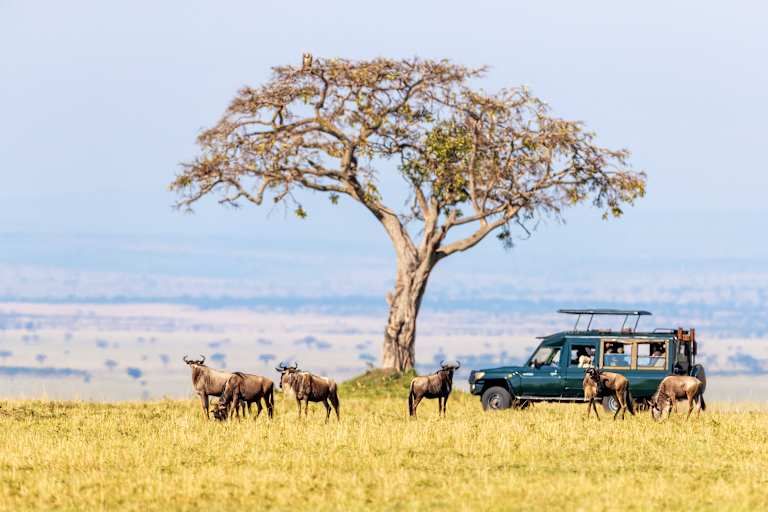 Le meilleur du Kenya en safari - 3* pas cher photo 5