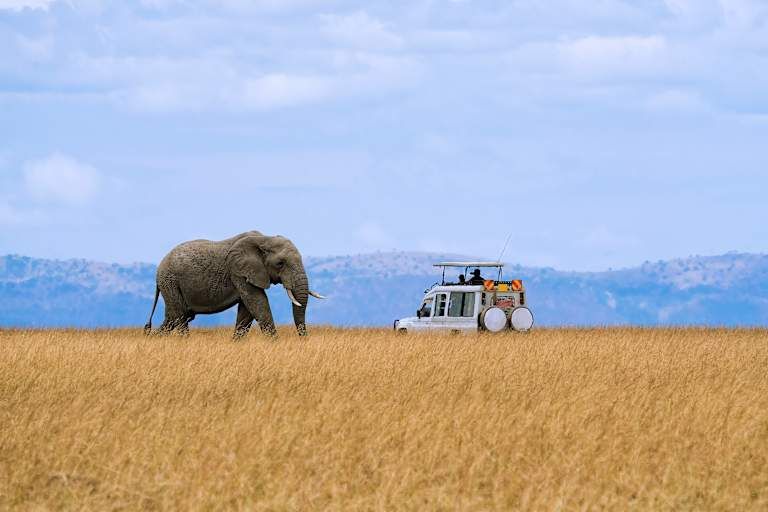 Le meilleur du Kenya en safari - 3* pas cher photo 6