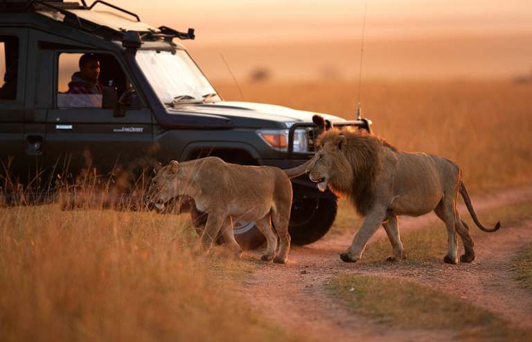Le meilleur du Kenya en safari - 3* pas cher photo 7