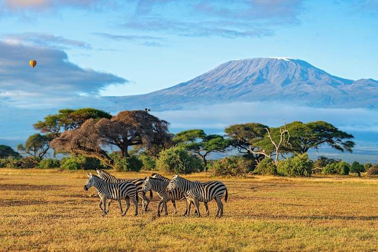 Le meilleur du Kenya en safari - 3* pas cher photo 11